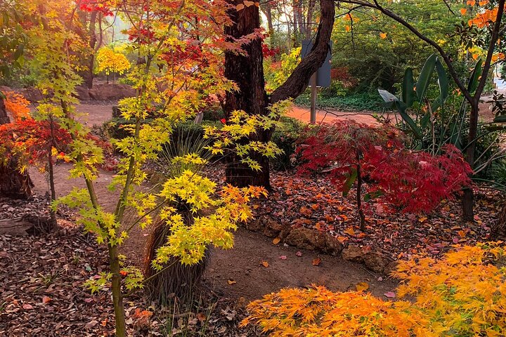 Botanical gardens + Cidery Lunch or Picnic lunch + scenic full day tour