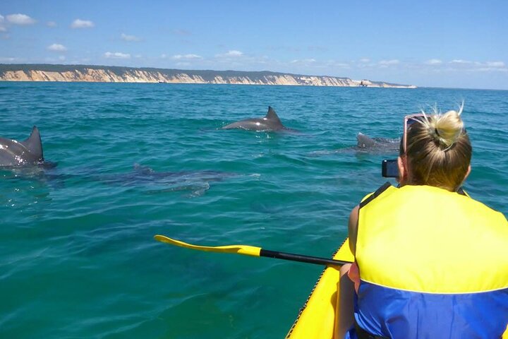 Epic Dolphin Kayak and 4WD Adventure Rainbow Beach