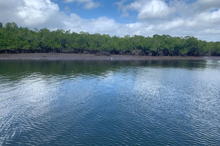 Hinchinbrook Island Channel Tour