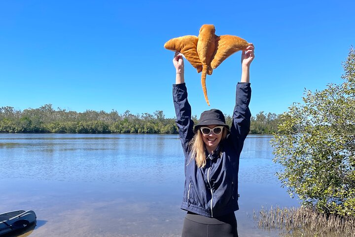 Kayaks & Stingrays: spot Rays in Noosa Everglade creeks (TA)