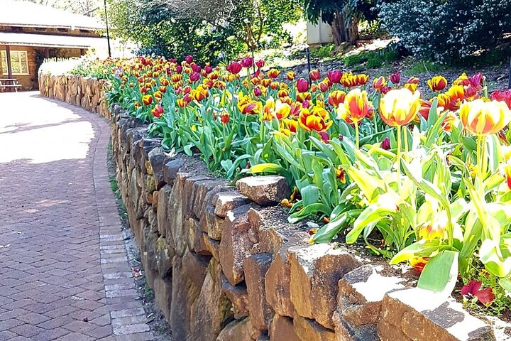 Botanical gardens + Cidery Lunch or Picnic lunch + scenic full day tour