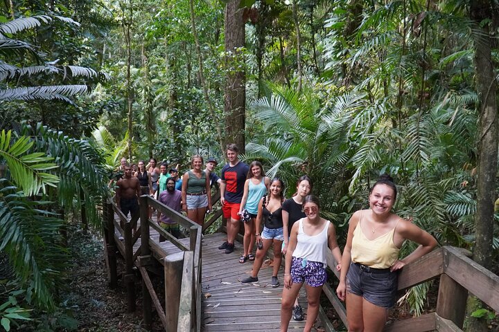 Cape Tribulation Day Tour from Cairns