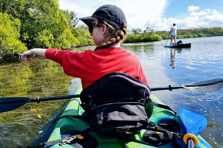 Kayaks & Stingrays