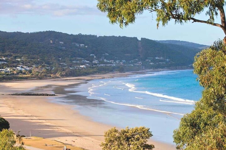 Great Ocean Road Private Car Tour from Melbourne. 1-5 guests.