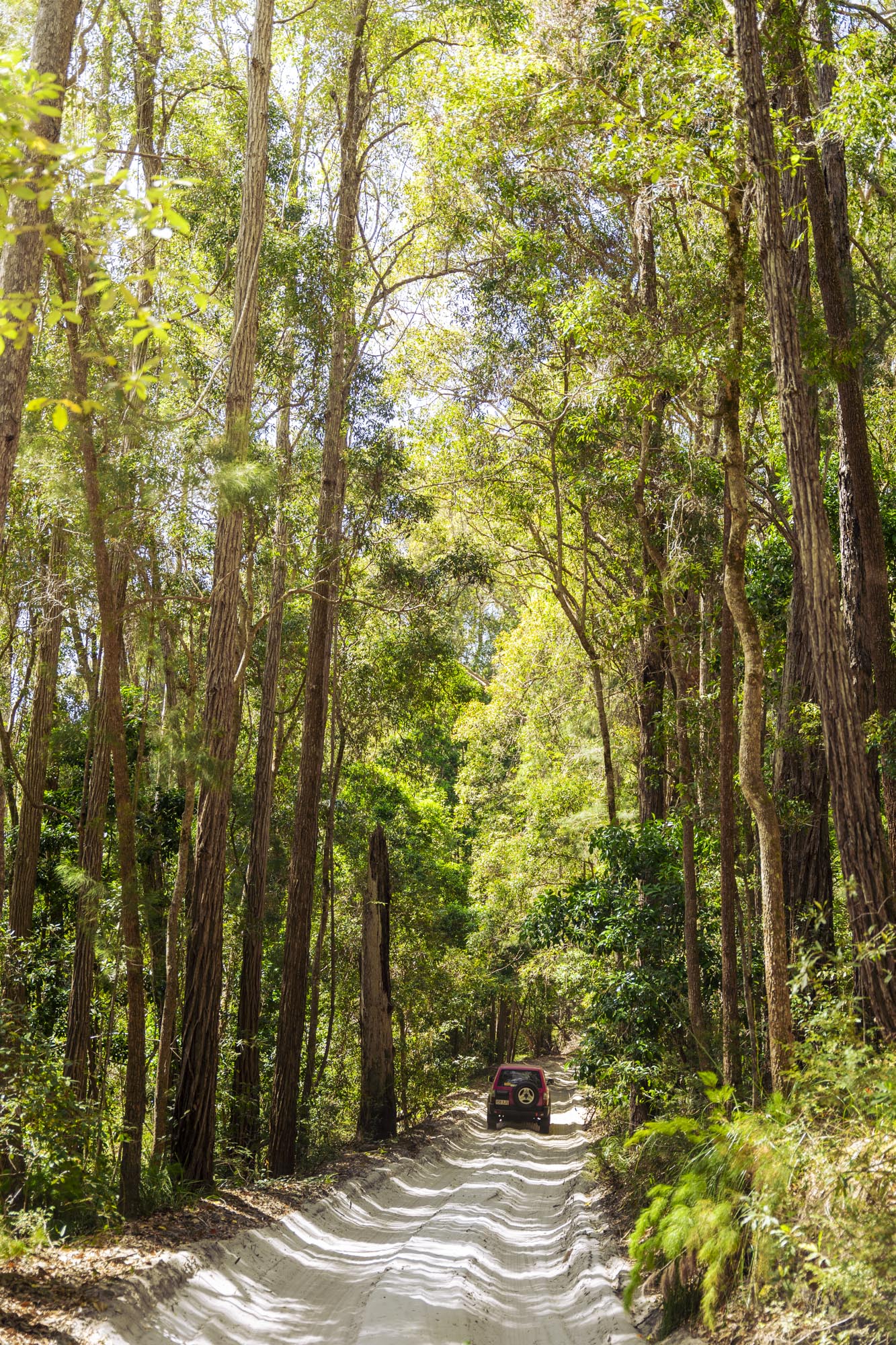 Fraser Island 4wd Hire - 4 Days