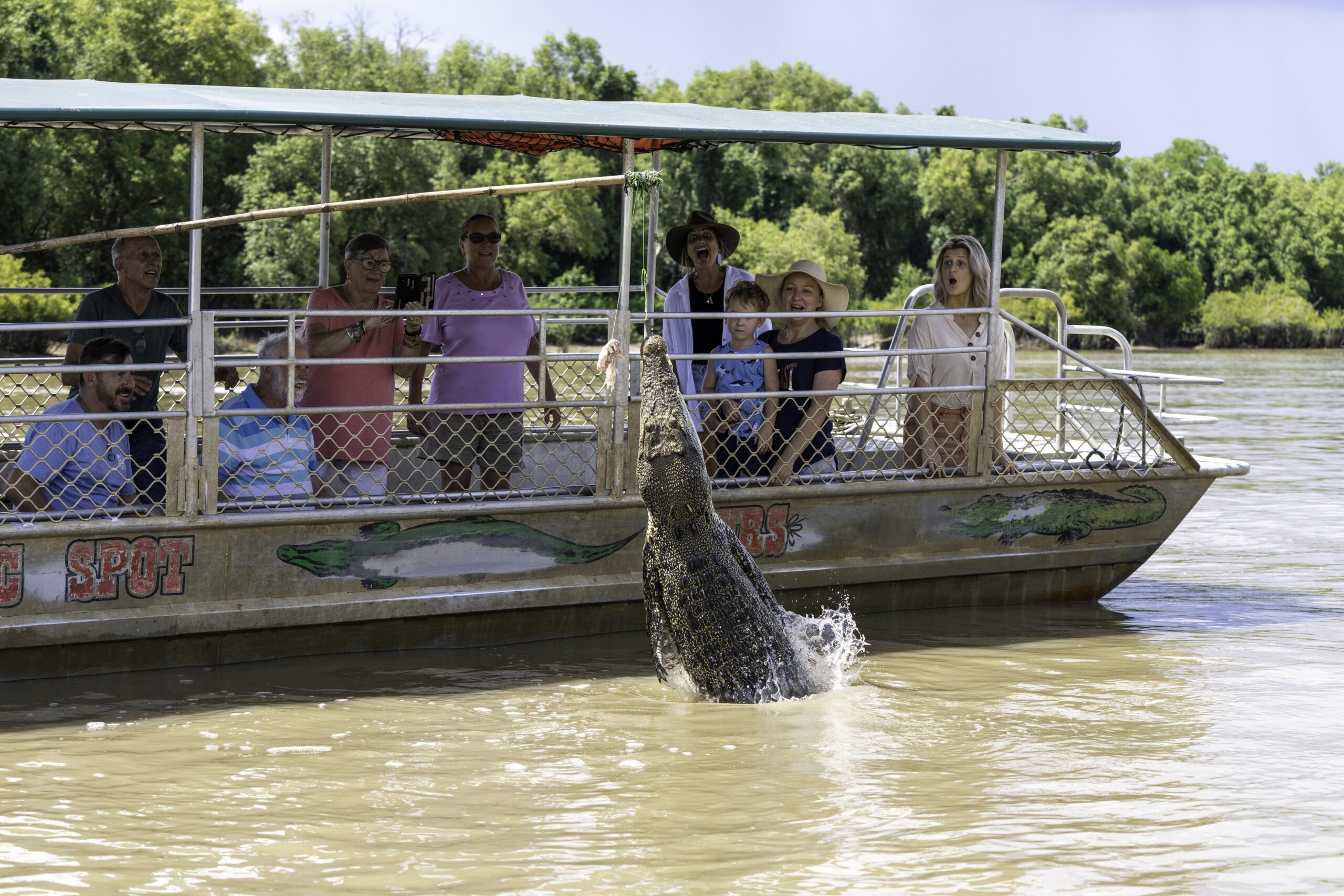 Autopia Tours: Jumping Crocodile Tour from Darwin