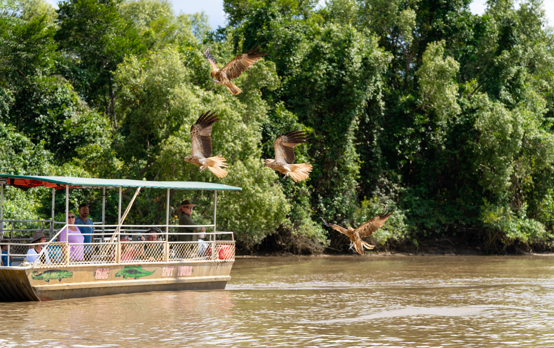 Autopia Tours: Jumping Crocodile Tour from Darwin