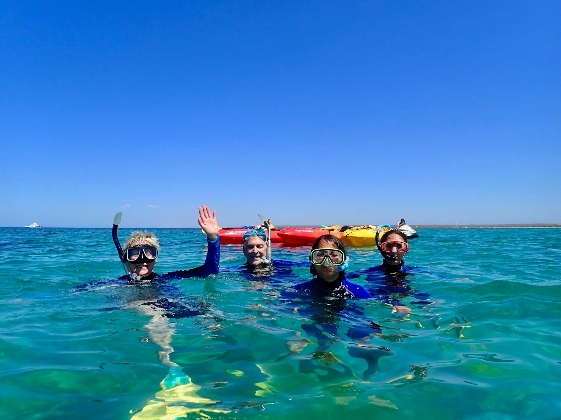 Turtle Tour - Half Day Sea Kayak & Snorkel Tour