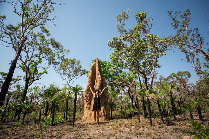 Litchfield National Park - Top End Day Tour from Darwin