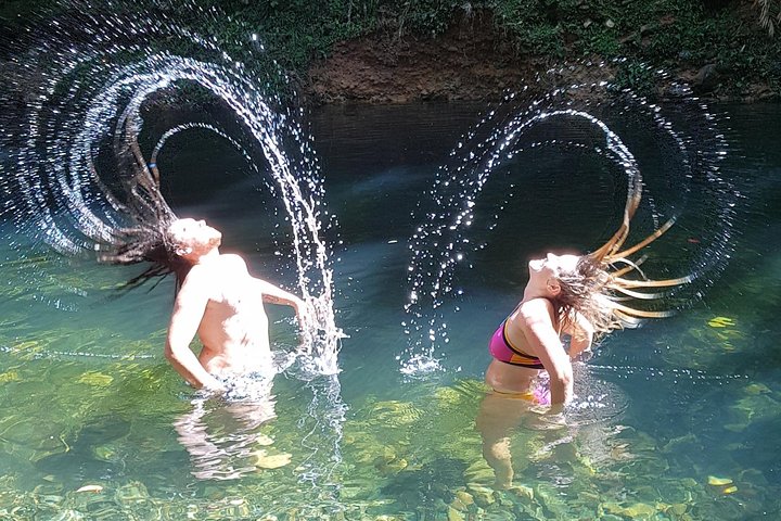 Cape Tribulation Day Tour from Cairns