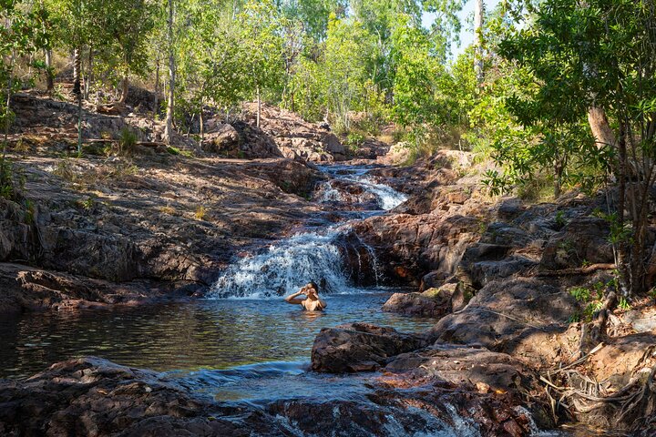 Litchfield National Park Waterfalls and Wildlife Tour from Darwin