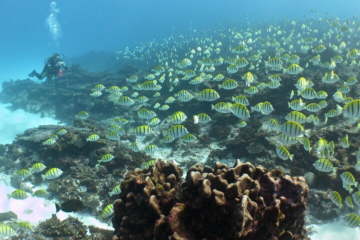 5 Night Ningaloo Reef Ningaloo Escape from Coral Bay