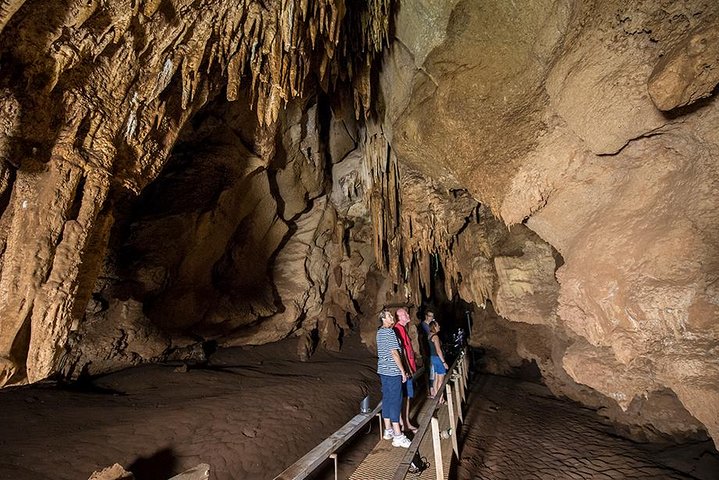 Cutta Cutta Caves Nature Park Guided Tours