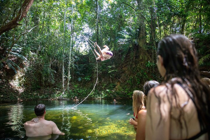 Cape Tribulation Day Tour from Cairns