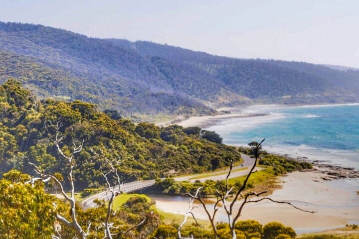 Great Ocean Road Private Car Tour from Melbourne. 1-5 guests.