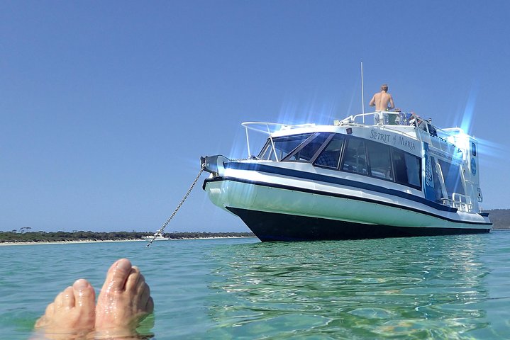 Maria Island Cruise and Guided Walk Full Day Tour with Drinks