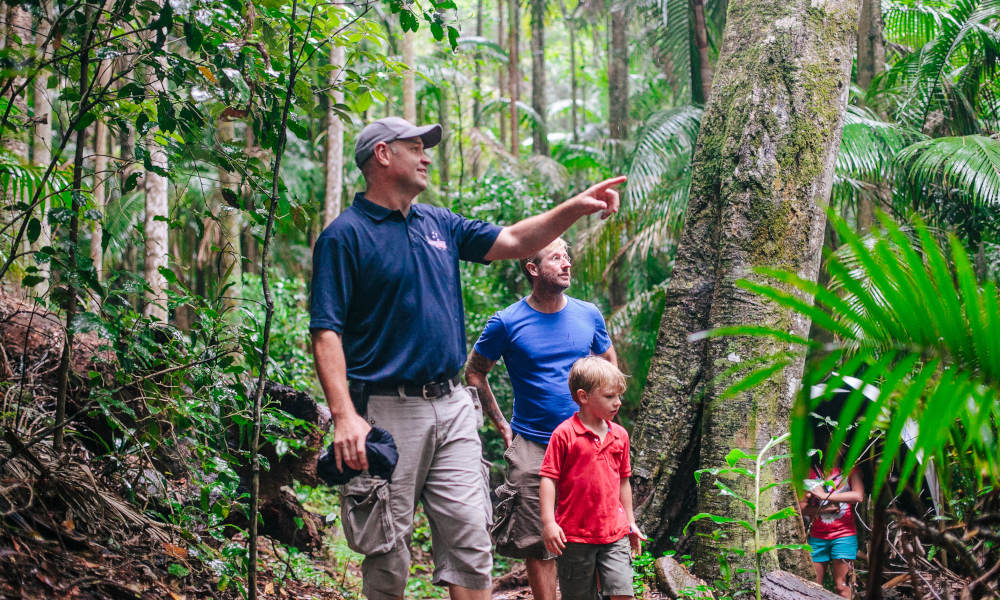 Lamington National Park and O'Reilly's Guided Full Day Tour