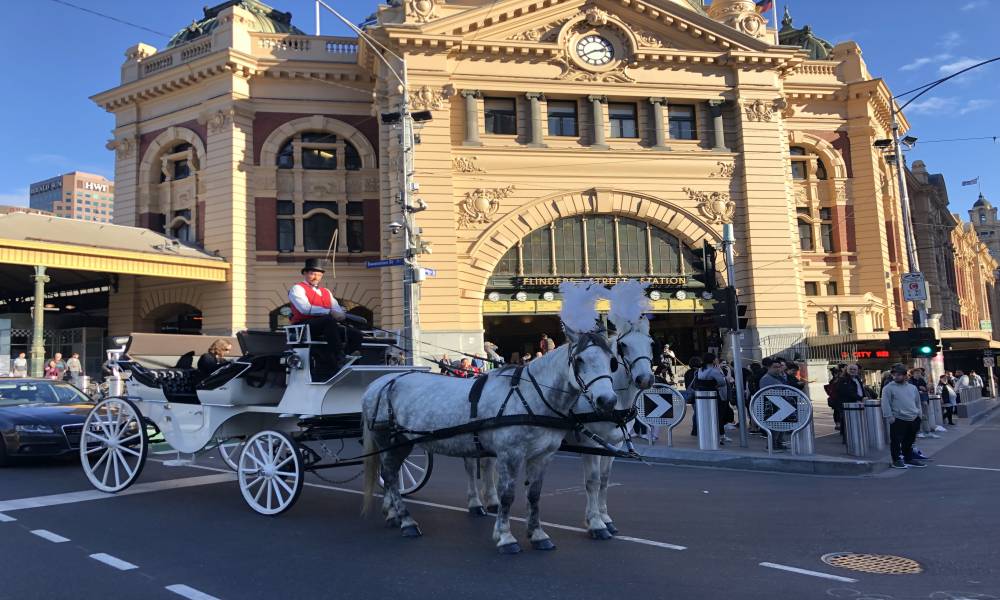 Melbourne Horse Drawn Carriage Tour