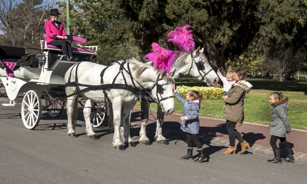 Melbourne Horse Drawn Carriage Tour