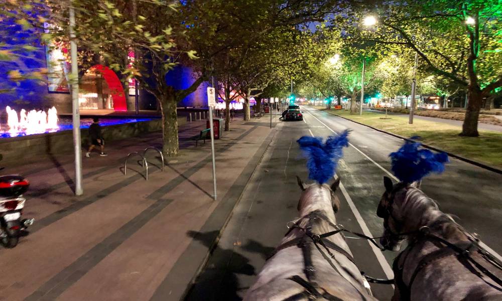 Melbourne Horse Drawn Carriage Tour