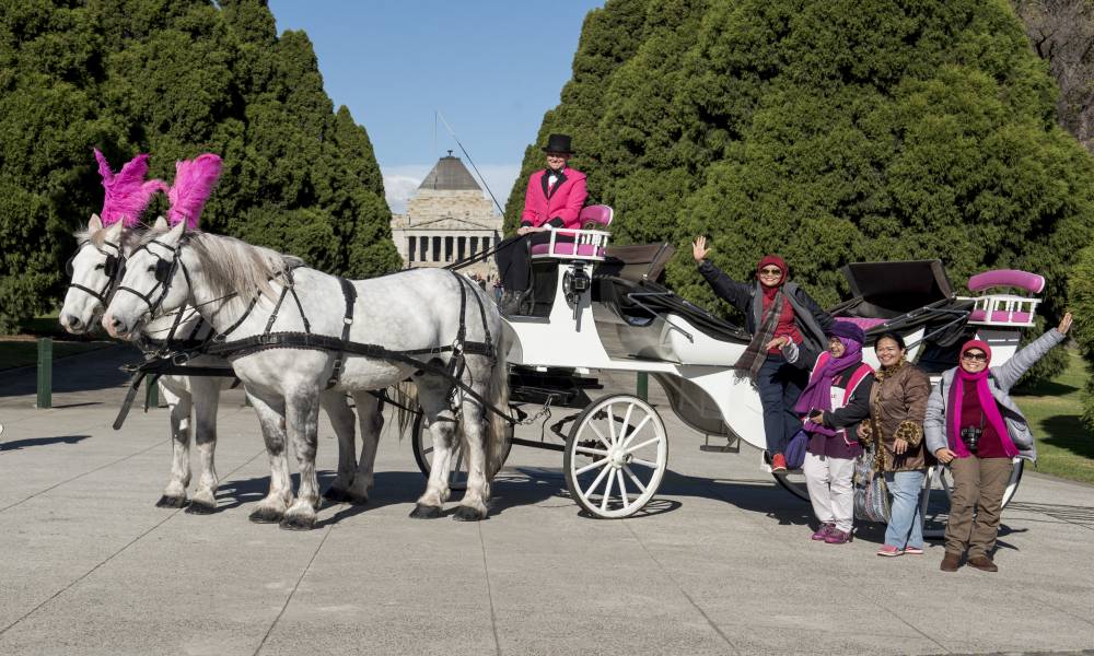 Melbourne Horse Drawn Carriage Tour