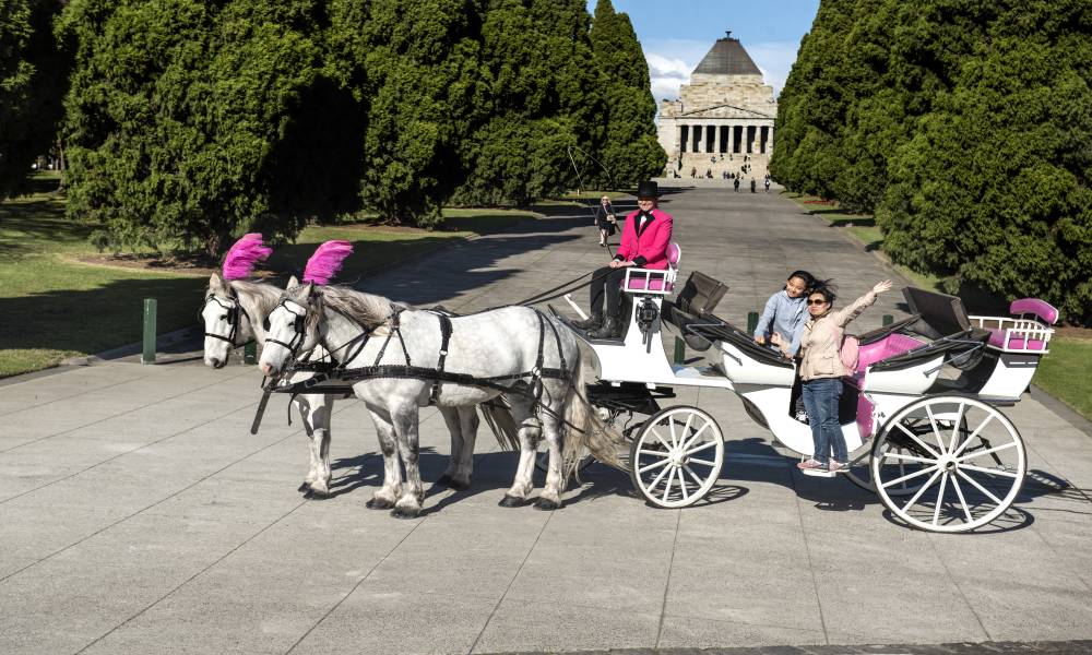 Melbourne Horse Drawn Carriage Tour