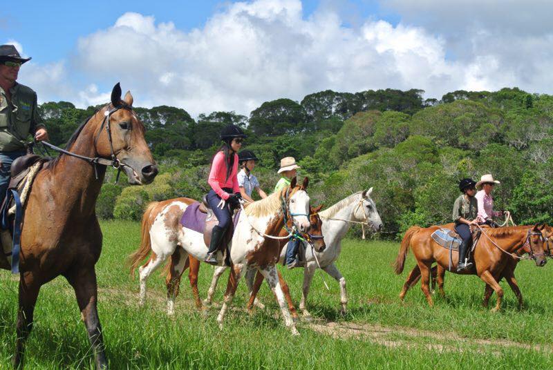 KUR-Cow Horse Riding with Petting Zoo entry