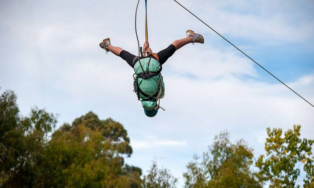 Rock Climb Abseil And Zipline Experience (Mount Lofty Adventure Hub)