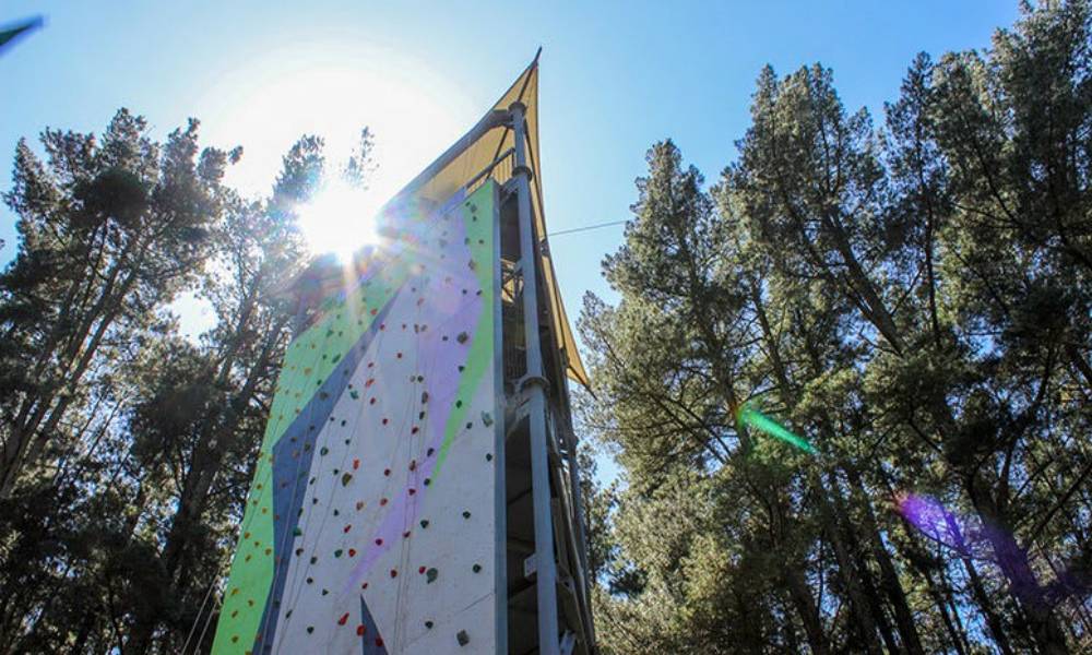 Rock Climb Abseil And Zipline Experience (Mount Lofty Adventure Hub)