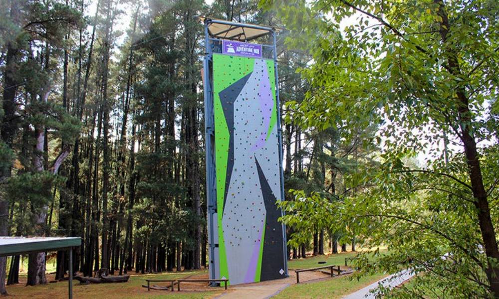 Rock Climb Abseil And Zipline Experience (Mount Lofty Adventure Hub)