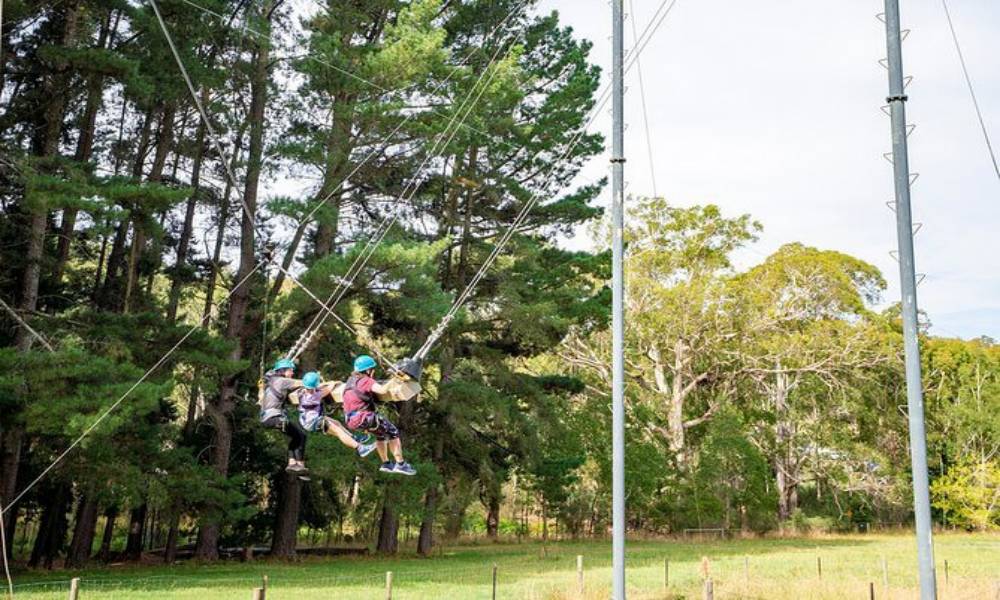 Rock Climb Zipline And Mega Swing Experience (Mount Lofty Adventure Hub)