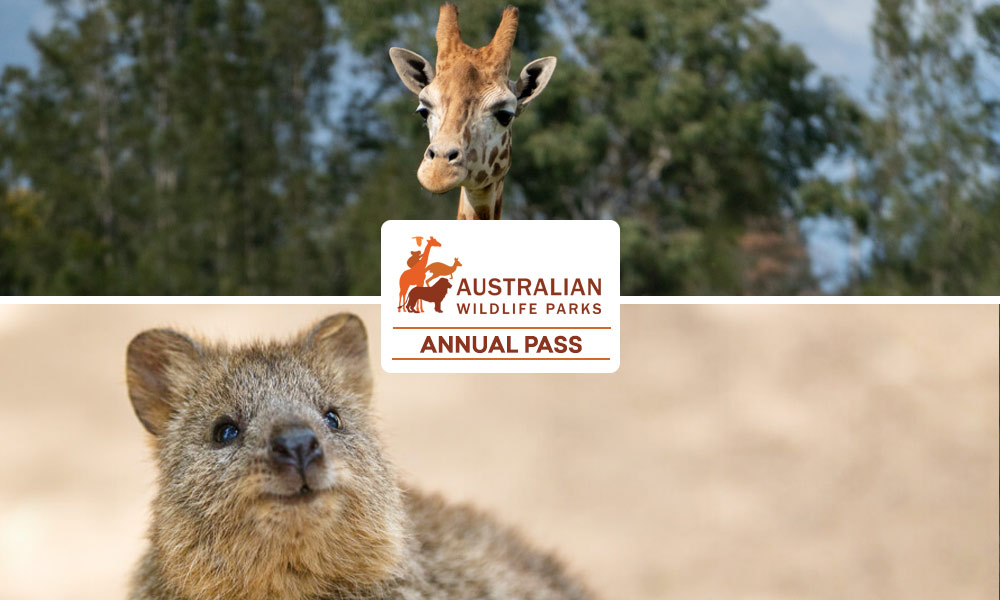 Annual Pass – Featherdale Sydney Wildlife Park + Mogo Wildlife Park