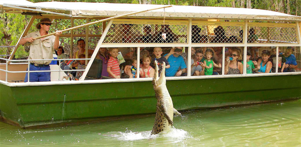 Hartleys Crocodile Adventures with Port Douglas Transfers