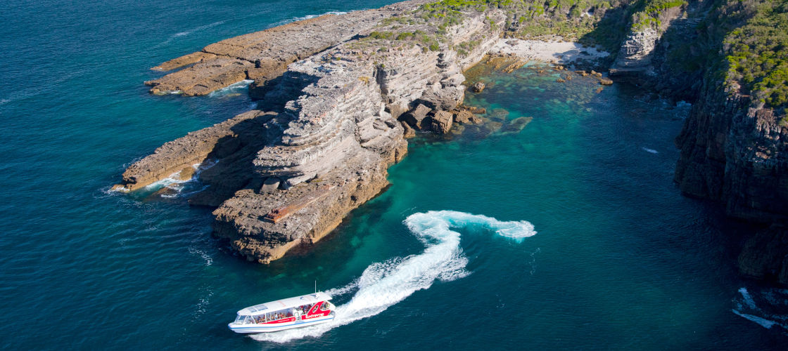 Jervis Bay Dolphin Watching Day Tour from Sydney