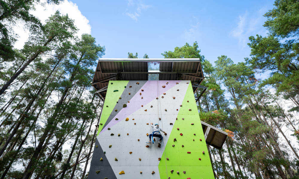 Rock Climbing And Challenge Ropes Experience (Southern Adventure Hub)