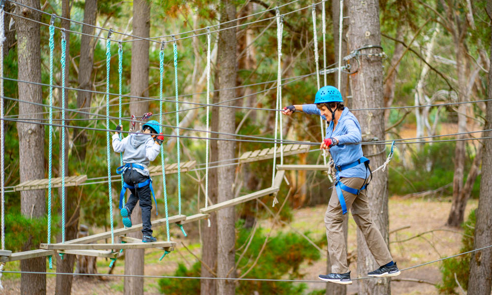 Rock Climbing And Challenge Ropes Experience (Southern Adventure Hub)