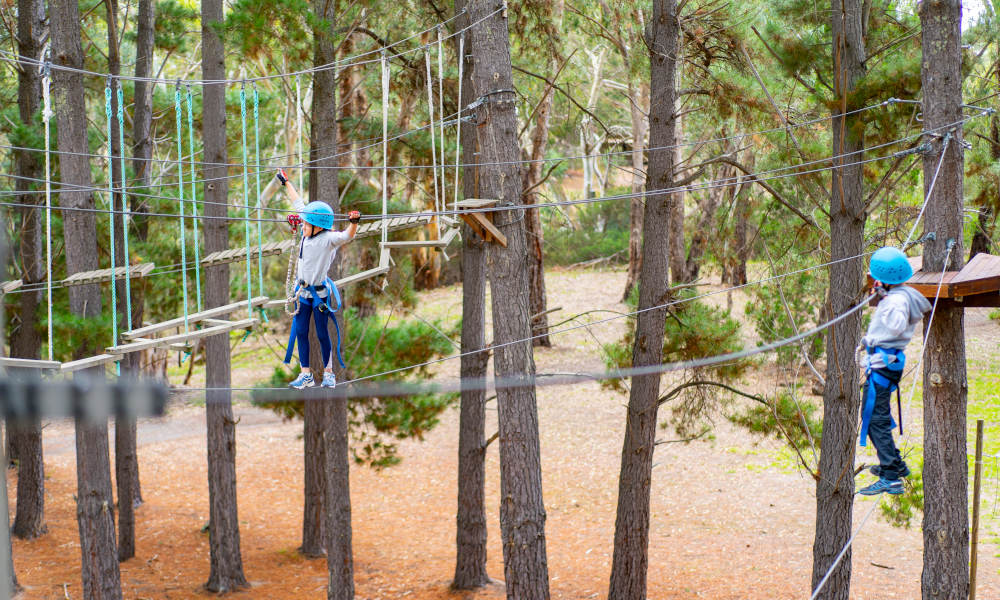 Rock Climbing And Challenge Ropes Experience (Southern Adventure Hub)