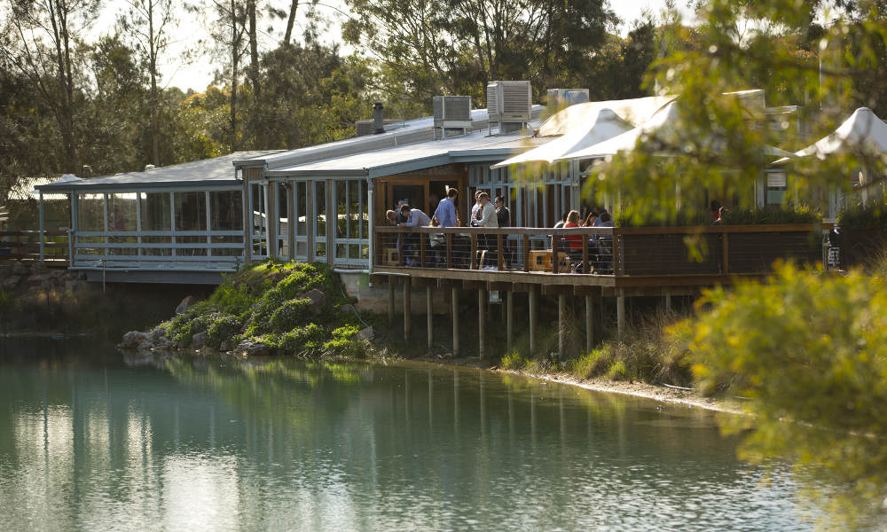 Maggie Beer's Pheasant Farm Wines Tasting