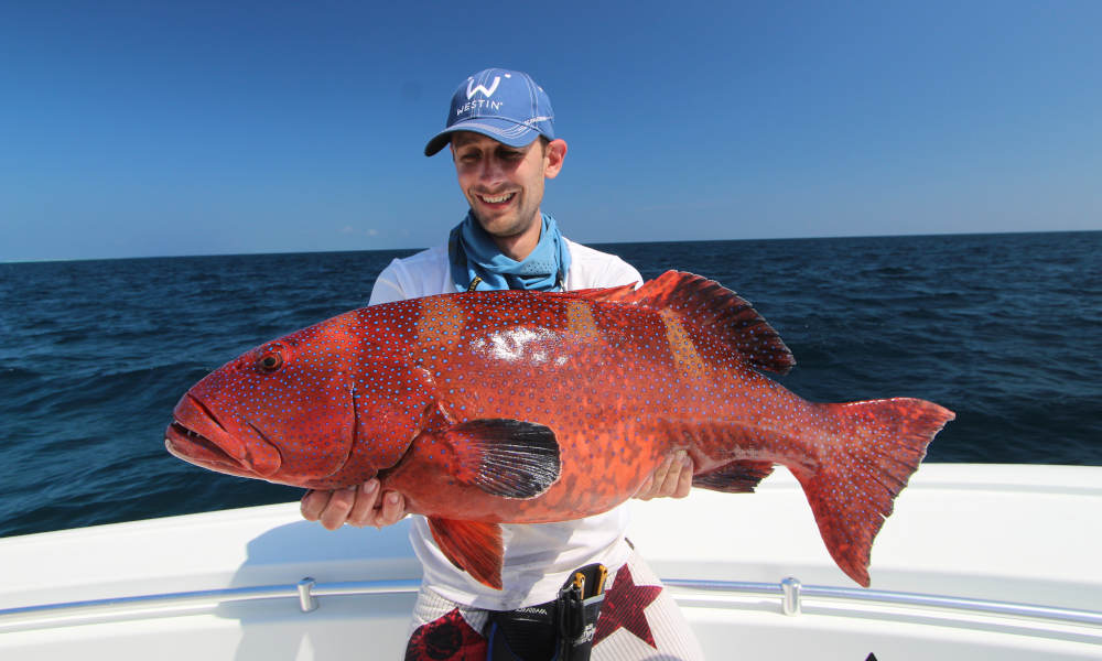 Port Douglas Offshore Fishing Charter