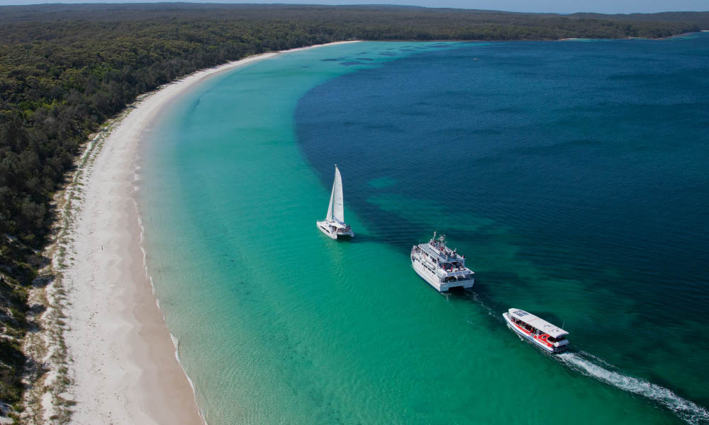 Jervis Bay Dolphin Watching Day Tour from Sydney