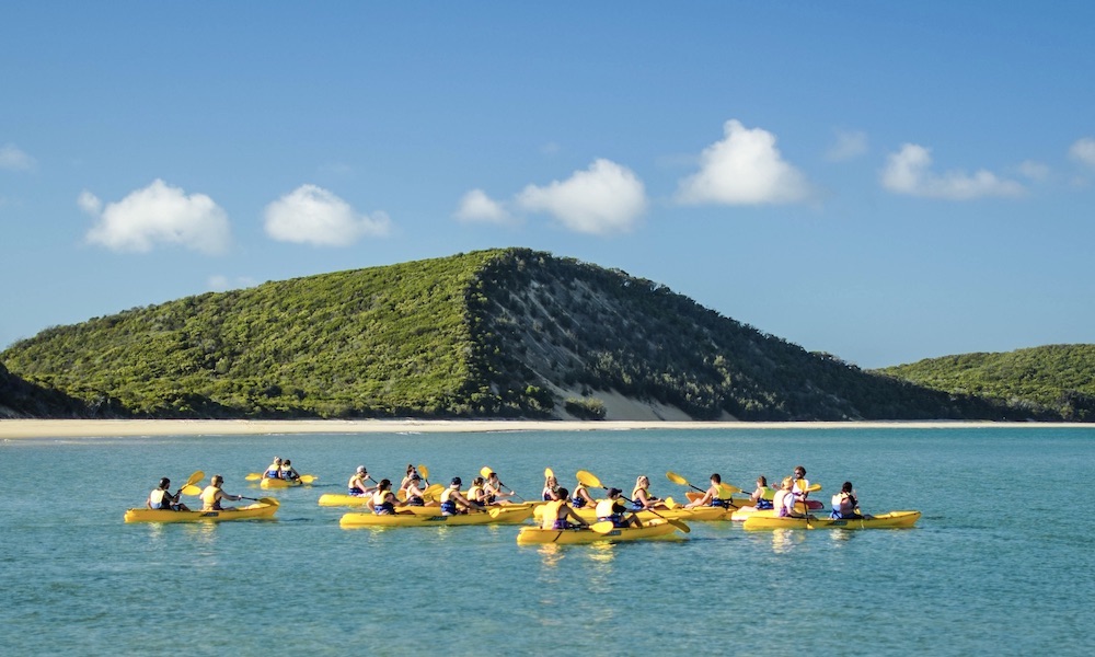 Rainbow Beach Dolphin Kayak & 4WD Beach Drive Adventure