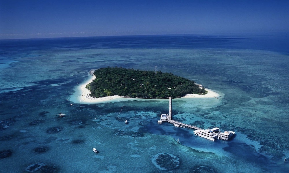 Green Island Day Trip - Return Ferry Transfer Only