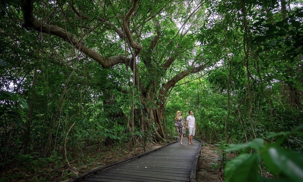 Green Island Day Trip - Return Ferry Transfer Only