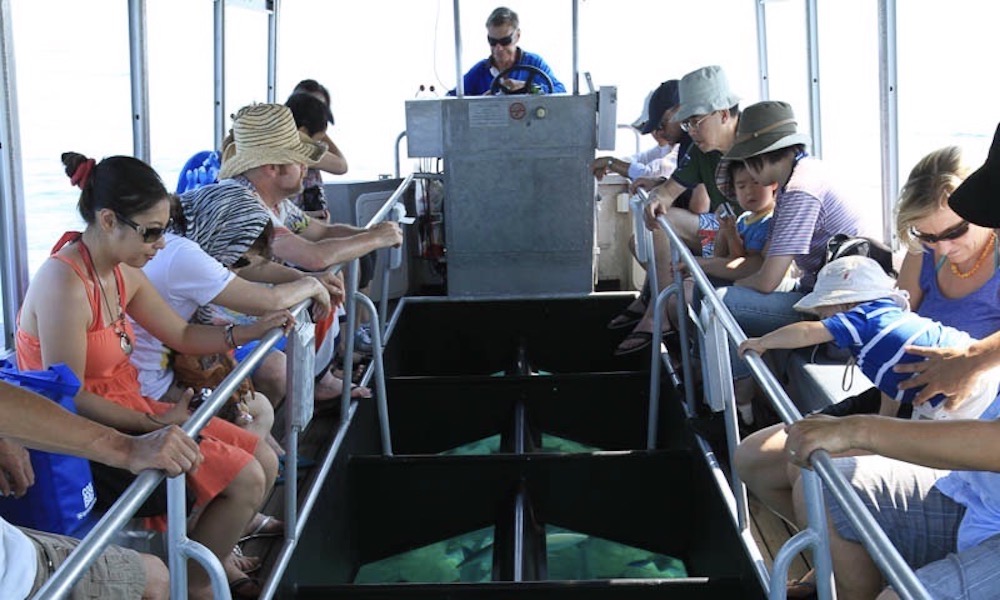 Green Island Day Trip - Return Ferry Transfer Only