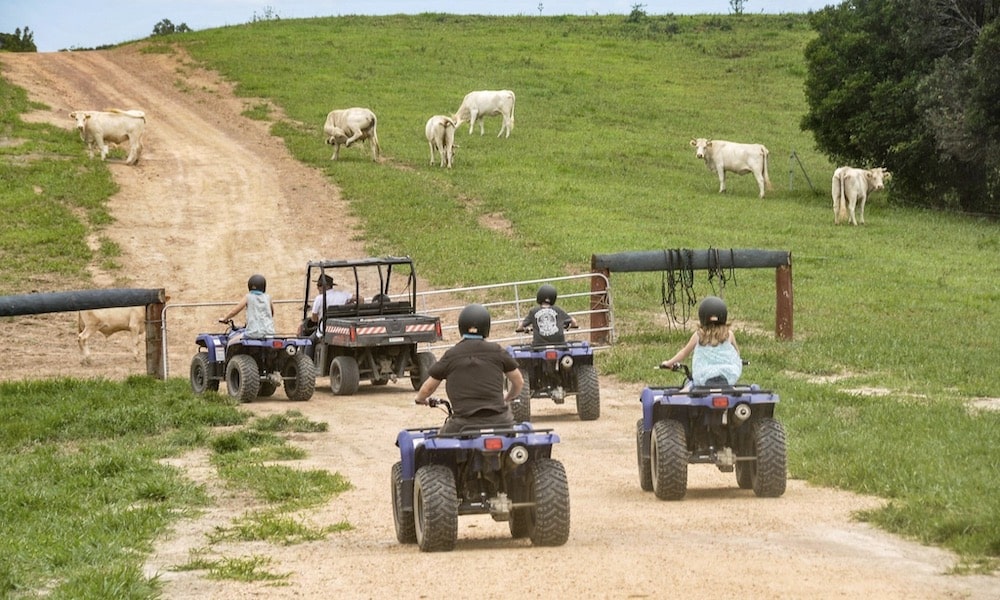 KUR-Cow ATV Tour with Petting Zoo Entry