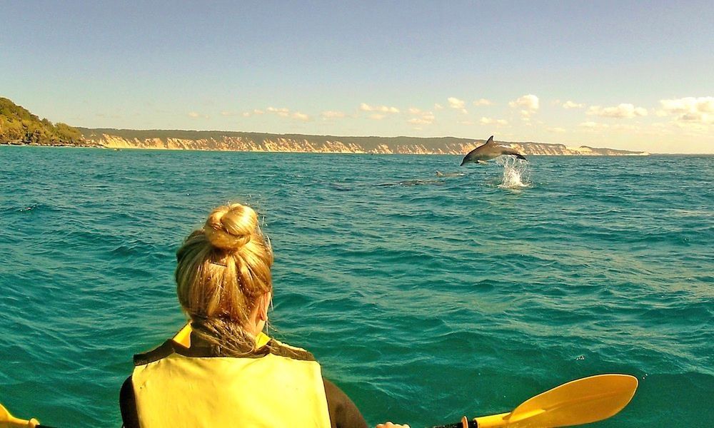 Noosa Dolphin View Kayak Tour