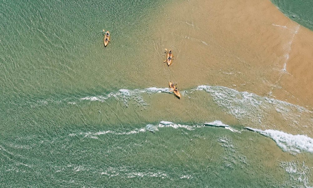 Noosa Dolphin View Kayak Tour