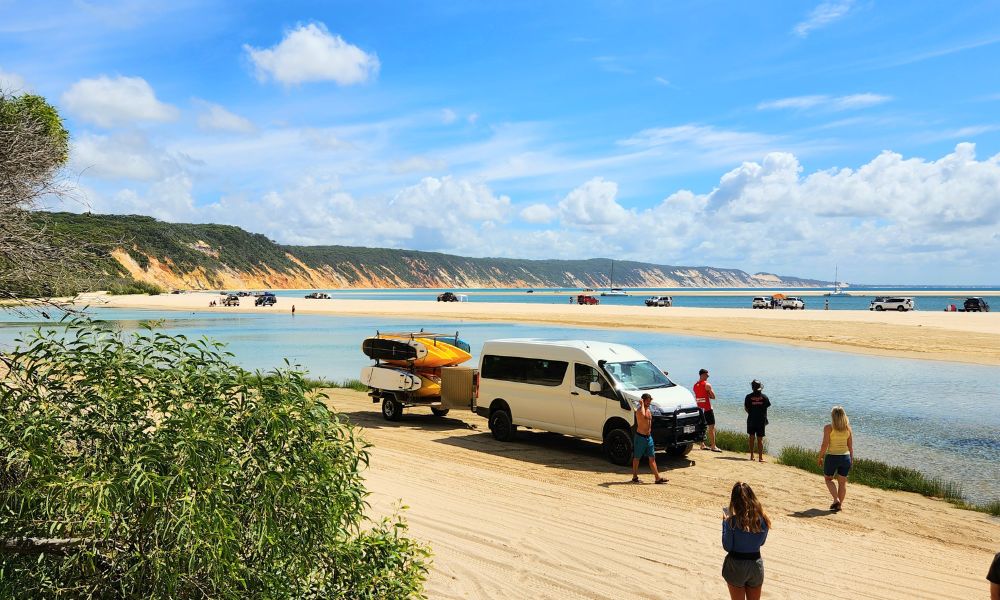 Noosa Dolphin View Kayak Tour