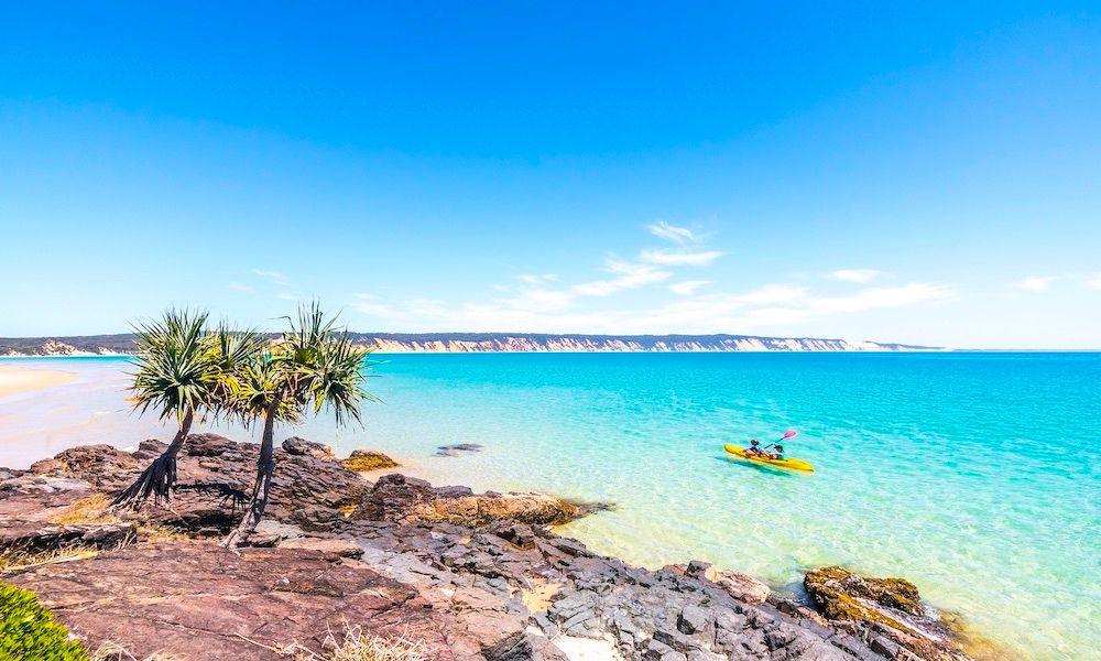 Noosa Dolphin View Kayak Tour