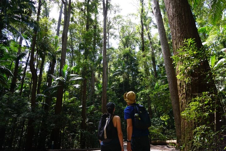 Pack-free Camping: Lake McKenzie Central Hike - 2 Days